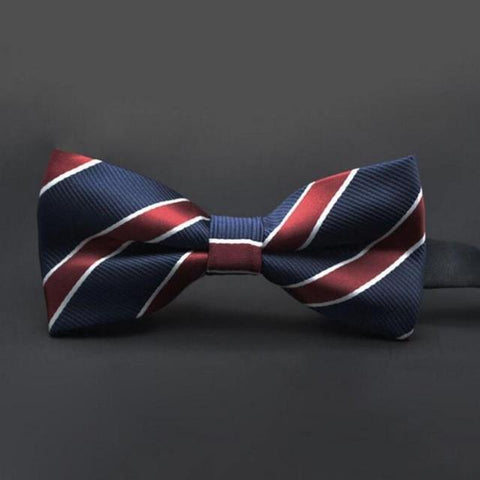 Patterized Satin Bow Ties